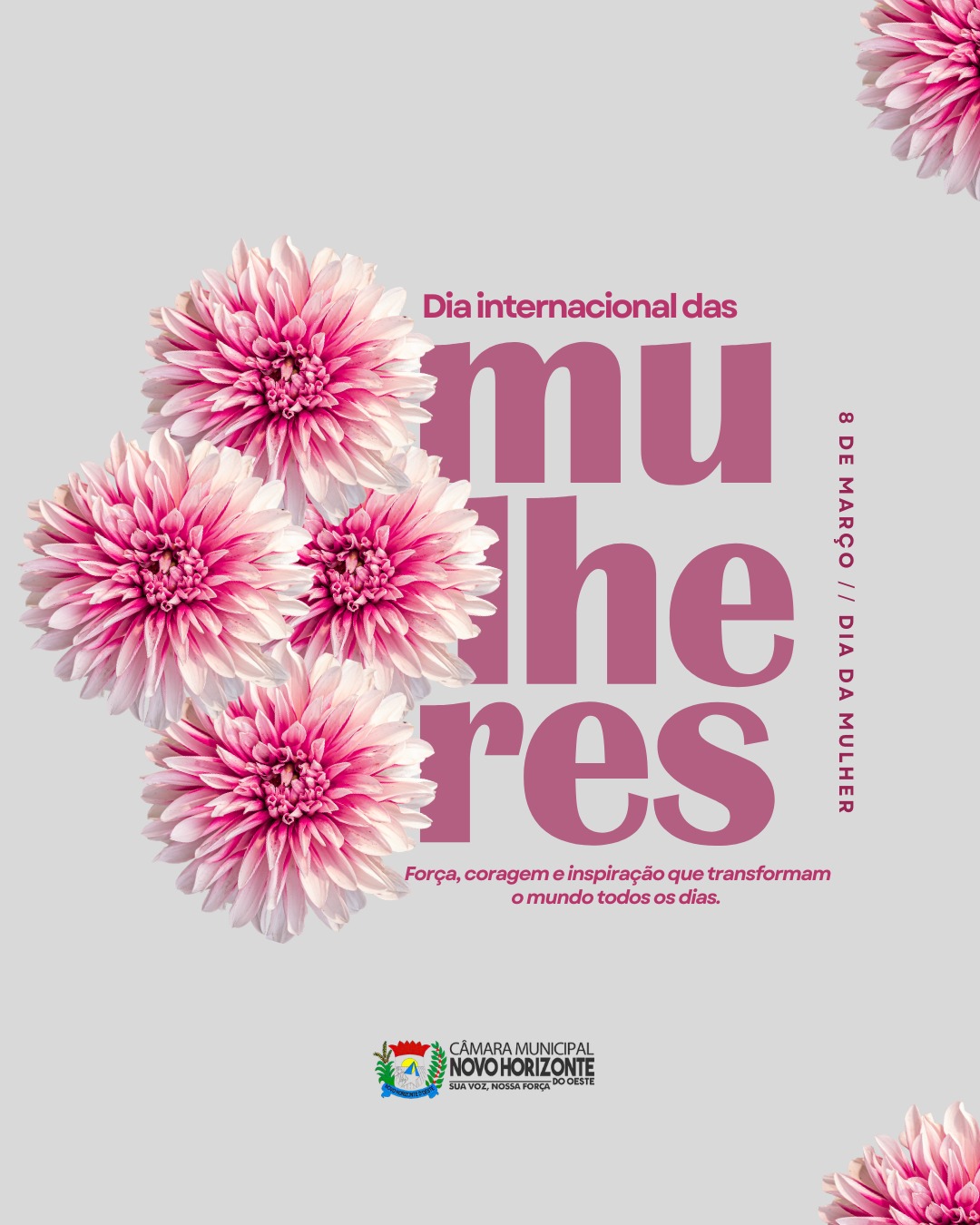 Protagonistas da história: homenagem às mulheres neste mês especial